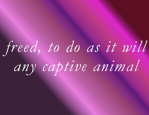 freed, to do as it will any captive animal